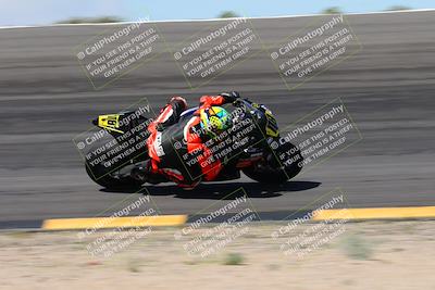 media/Apr-05-2024-Apex Assassins-CVMA Friday Practice (Fri) [[ee2ef04f2b]]/3-Racer 2/Session 3 (Bowl Speed Pans)/